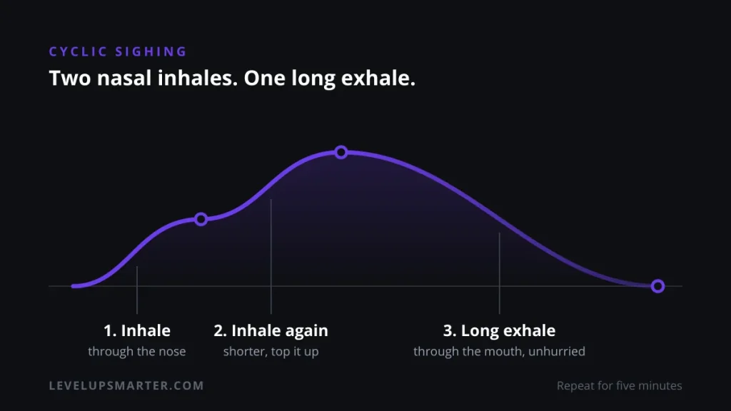 Diagram of the cyclic sighing pattern: two nasal inhales followed by one long exhale through the mouth.
